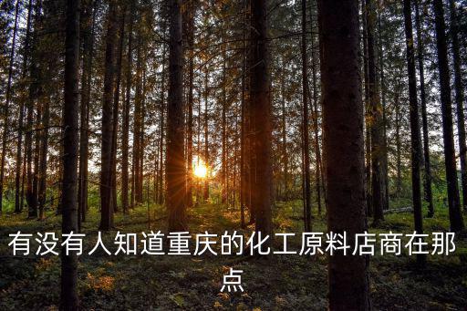 有沒有人知道重慶的化工原料店商在那點