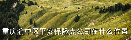 重慶渝中區平安保險支公司在什么位置