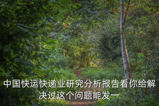 中國快運快遞業研究分析報告看你給解決過這個問題能發一