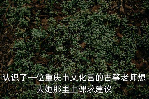 認識了一位重慶市文化宮的古箏老師想去她那里上課求建議