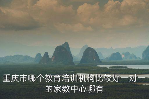 重慶市哪個教育培訓機構比較好一對一的家教中心哪有