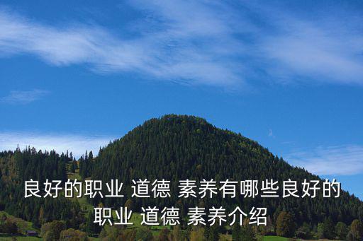 道德素養,德治而法治的五大核心素養包括良好職業生涯道德