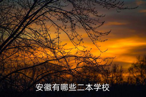 安徽有哪些二本學校
