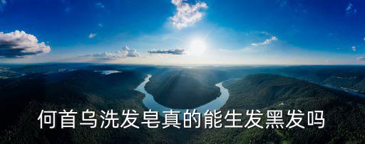 何首烏洗發皂真的能生發黑發嗎