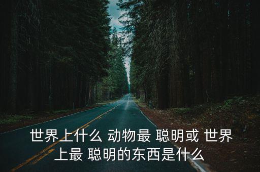  世界上什么 動物最 聰明或 世界上最 聰明的東西是什么