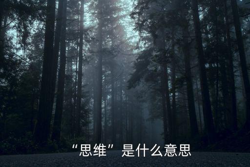 “思維”是什么意思