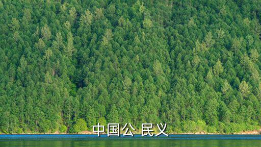 中國(guó)公 民義
