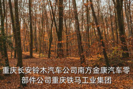 重慶長安鈴木汽車公司南方金康汽車零部件公司重慶鐵馬工業集團