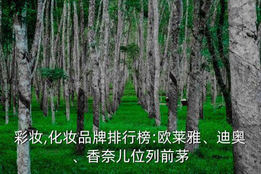 名牌彩妝,化妝品牌排行榜:歐萊雅、迪奧、香奈兒位列前茅