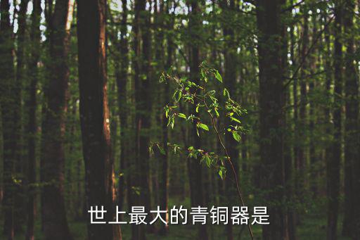 最大的青銅器，世界上最大的青銅器是什麼