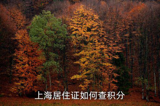 上海居住證如何查積分
