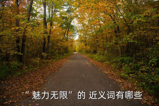 魅力近義詞,魅力ininfinite近義詞:非常獨特
