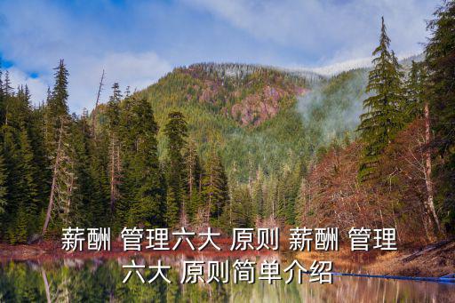  薪酬 管理六大 原則 薪酬 管理六大 原則簡單介紹