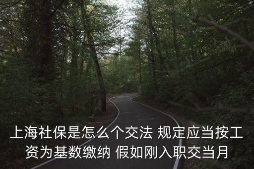 上海社保政策，上海社保政策