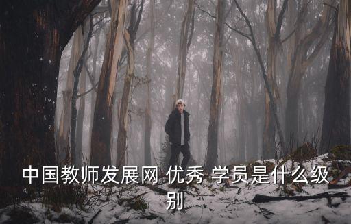 優(yōu)秀學(xué)員,獲頒高等學(xué)校骨干教師培訓(xùn)證書優(yōu)秀學(xué)員是榮譽(yù)稱號(hào)