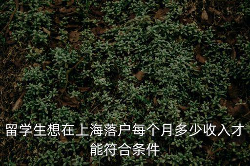 留學生想在上海落戶每個月多少收入才能符合條件