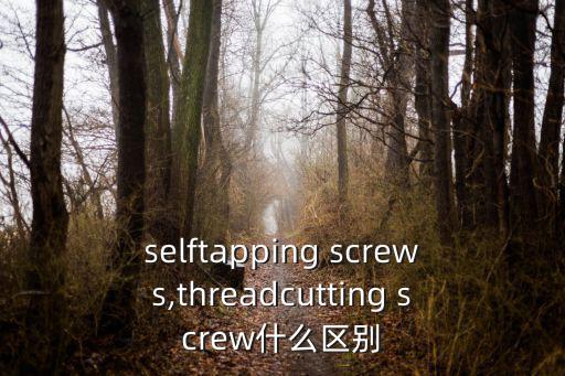 screw,自攻螺絲和鉆釘組成新家具