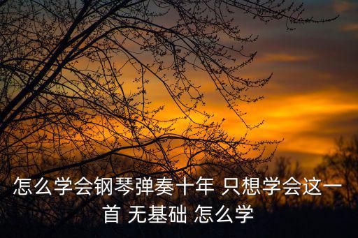 怎么學會鋼琴彈奏十年 只想學會這一首 無基礎 怎么學