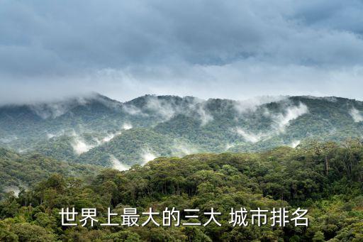  世界上最大的三大 城市排名