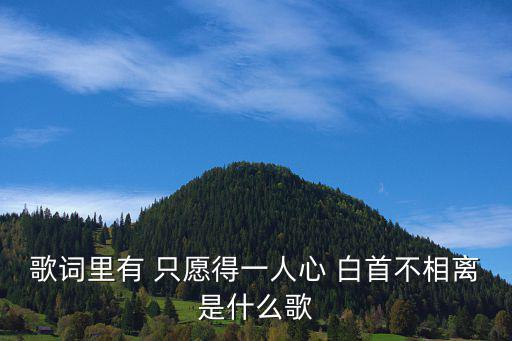 歌詞里有 只愿得一人心 白首不相離是什么歌