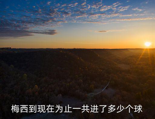 梅西進球總數，梅西到現在為止一共進了多少個球