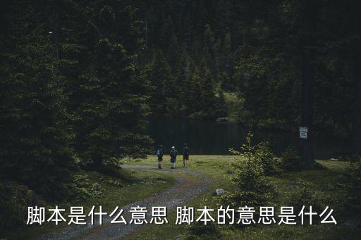 腳本是什么意思 腳本的意思是什么