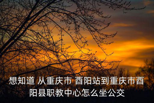 重慶市酉陽職教中心校徽，重慶肖家灣車站對面進去 走5分鐘會有個學校 拉個學校叫什么