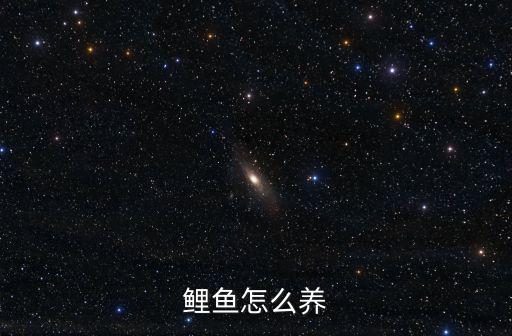 鯉魚怎么養