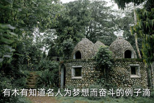 追逐夢想的名人素材，名人不懈追求夢想最終成功的事例