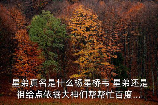 星弟,星弟當導演小賤人在歌詞中發展
