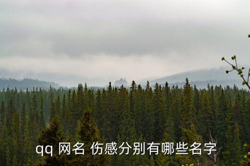 qq網(wǎng)名傷感,窗外煙火璀璨如今已成灰燼
