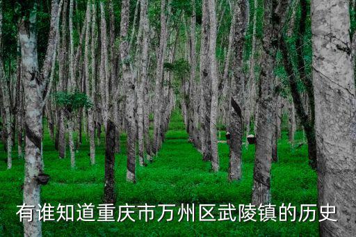 重慶市萬州區武陵鎮官網，重慶萬州區