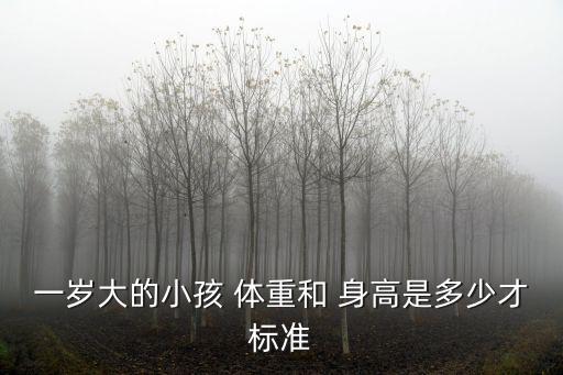一歲大的小孩 體重和 身高是多少才標準