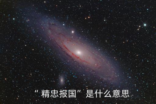 “ 精忠報國”是什么意思
