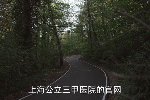 上海公立三甲醫(yī)院的官網(wǎng)