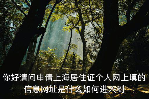 你好請問申請上海居住證個人網上填的信息網址是什么如何進入到