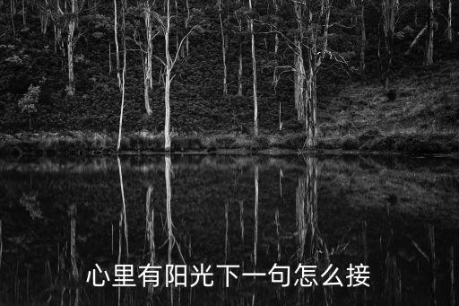 心里有陽光下一句怎么接