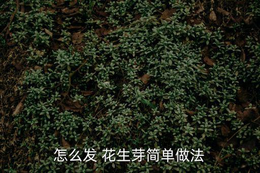 怎么發 花生芽簡單做法
