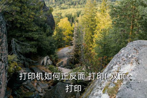 如何雙面打印,如何使用wps打印文檔?