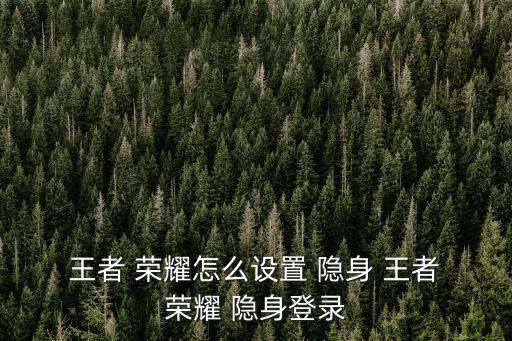 王者榮耀怎么隱身在線,王者榮耀不能隱身登錄
