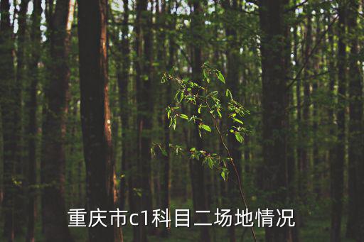 重慶市c1科目二場(chǎng)地情況
