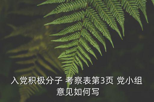 黨小組考察意見,黨小組和黨支部填寫考察結論