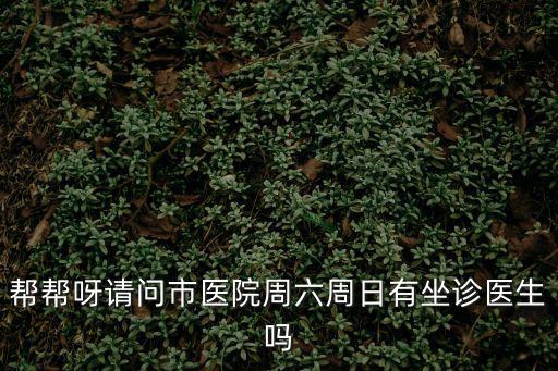 幫幫呀請問市醫院周六周日有坐診醫生嗎