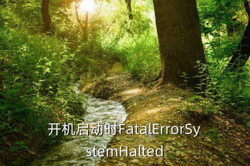 開機啟動時FatalErrorSystemHalted