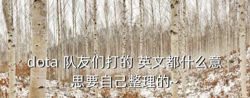 dota 隊友們打的 英文都什么意思要自己整理的~
