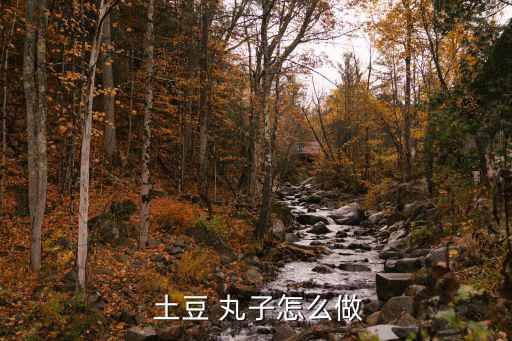  土豆 丸子怎么做