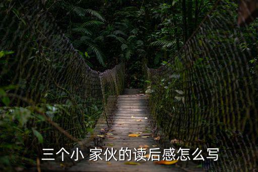  三個小 家伙的讀后感怎么寫