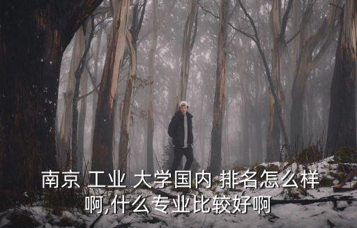  南京 工業 大學國內 排名怎么樣啊,什么專業比較好啊