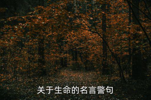 關于生命的名言警句