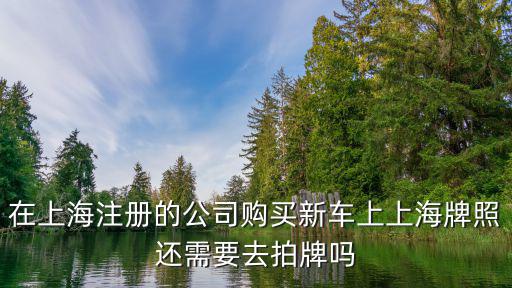 在上海注冊的公司購買新車上上海牌照還需要去拍牌嗎